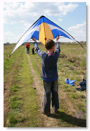 Go Fly a Kite